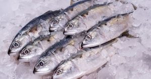 Cara Menentukan Kesegaran Udang Dari Tampilan Fisik Panduan Lengkap Untuk Pecinta Kuliner