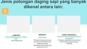 Menguak Rahasia Daging Empuk Sempurna Panduan Lengkap Teknik Memotong Daging Melawan Serat